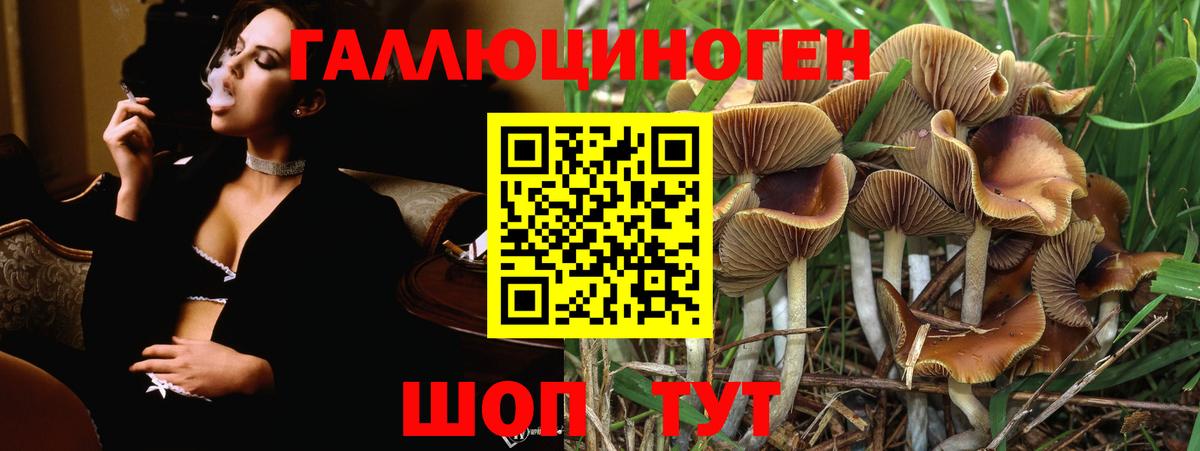 Галлюциногенные грибы мухоморы Ставрополь