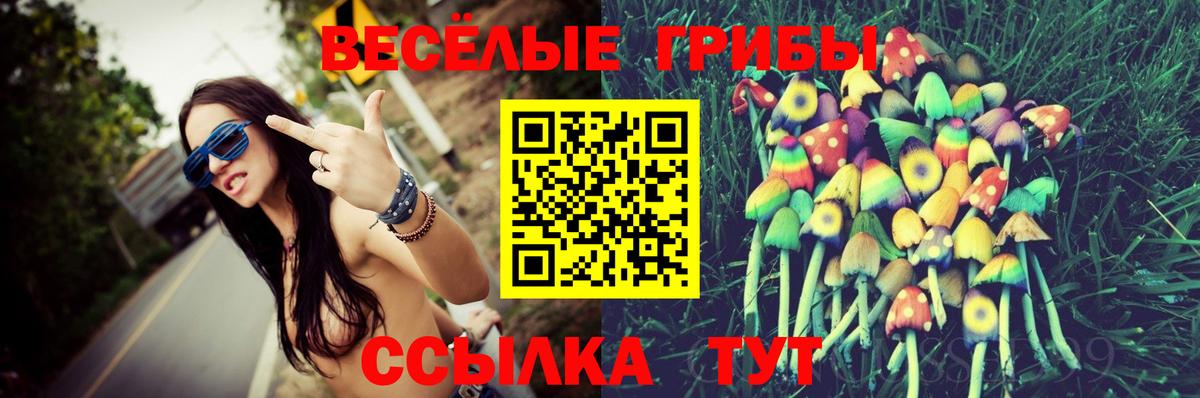 Галлюциногенные грибы прущие грибы  Галлюциногенные грибы Magic Shrooms  Ставрополь  Вход с VPN 