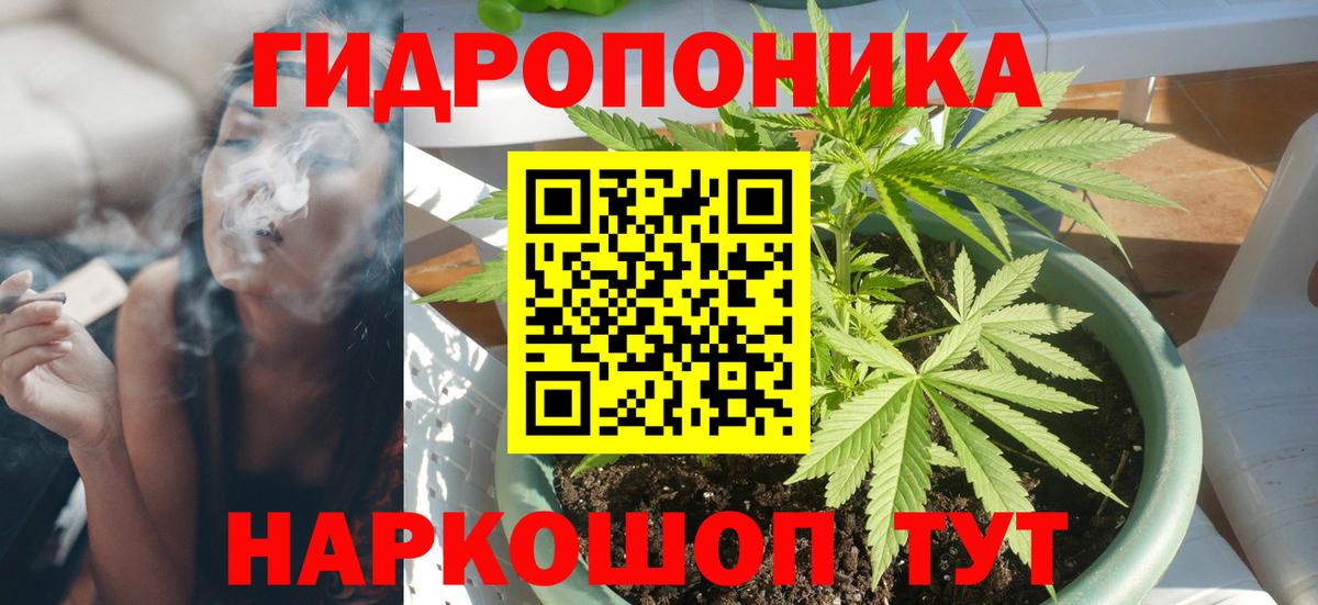 Бошки марихуана семена  Шишки марихуана Bruce Banner  Марихуана OG Kush  Вход с VPN  Ставрополь  Шишки марихуана конопля 